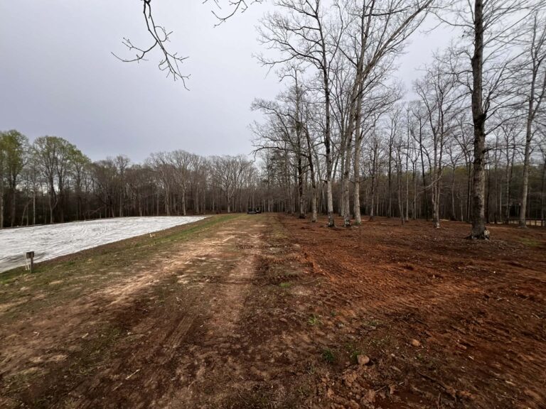 Wooded Lot Cleanup and Land Clearing for a Park-Like Setting