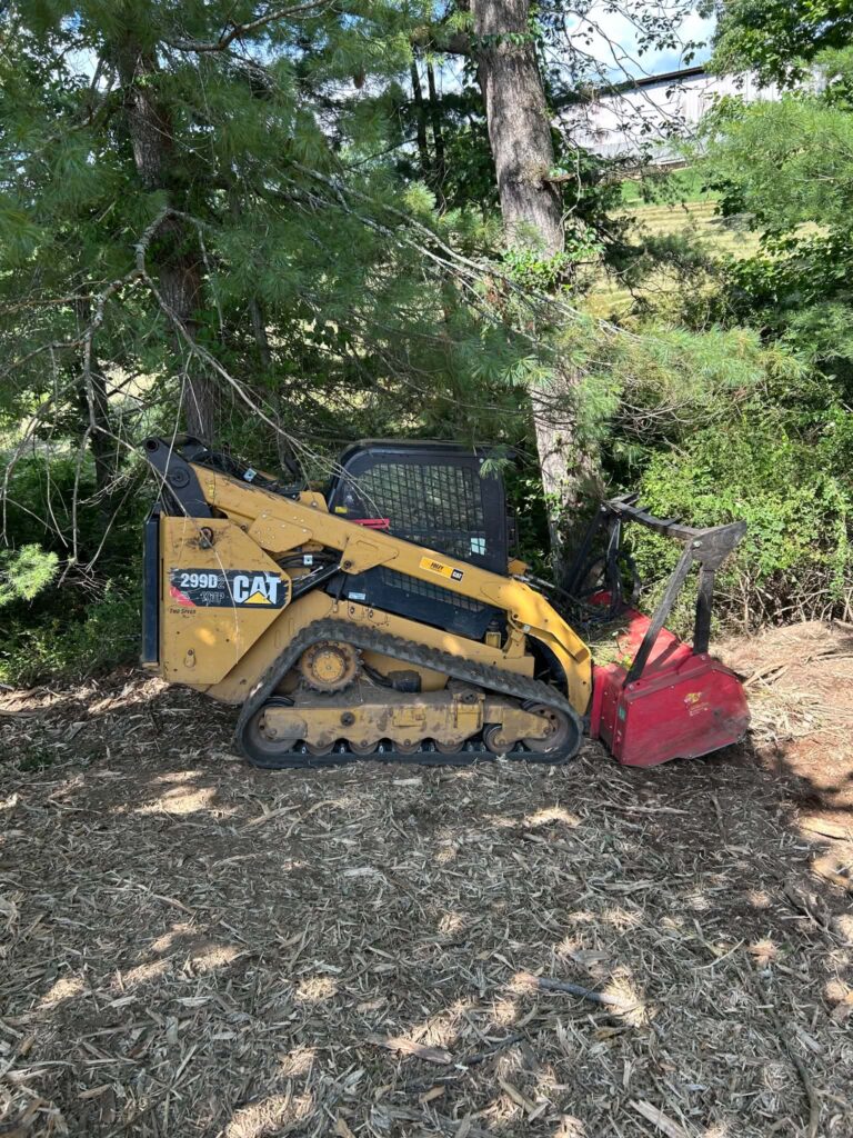 Reclaiming Overgrown Land